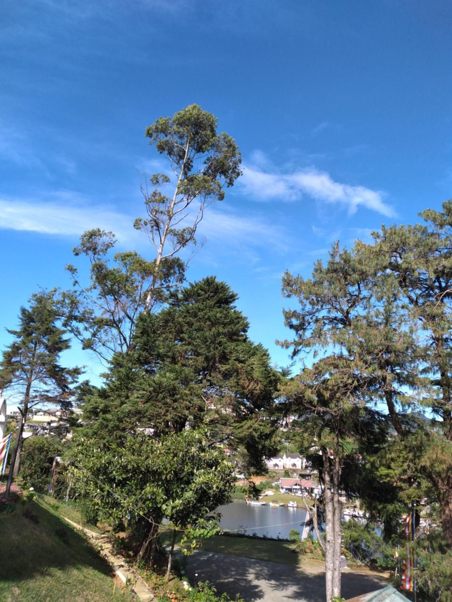 Hotel Eco Creations Nuwaraeliya Nuwara Eliya Zewnętrze zdjęcie
